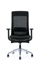 Aurex Office Chair